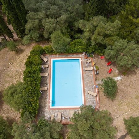 Villa I Tigli Campiglia Marittima Exterior photo