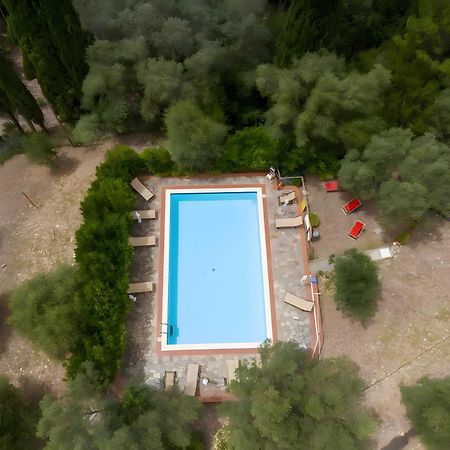 Villa I Tigli Campiglia Marittima Exterior photo