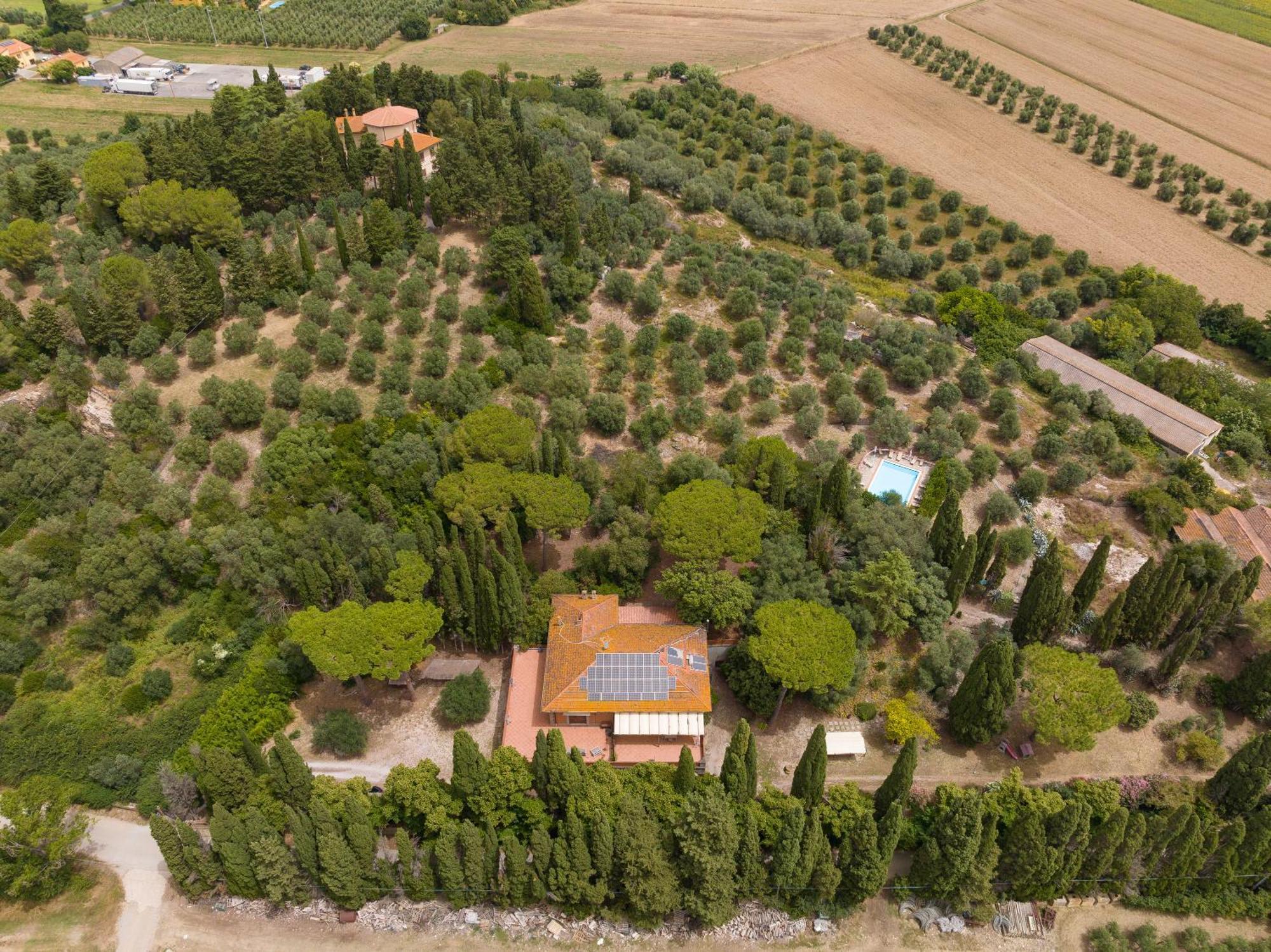 Villa I Tigli Campiglia Marittima Exterior photo
