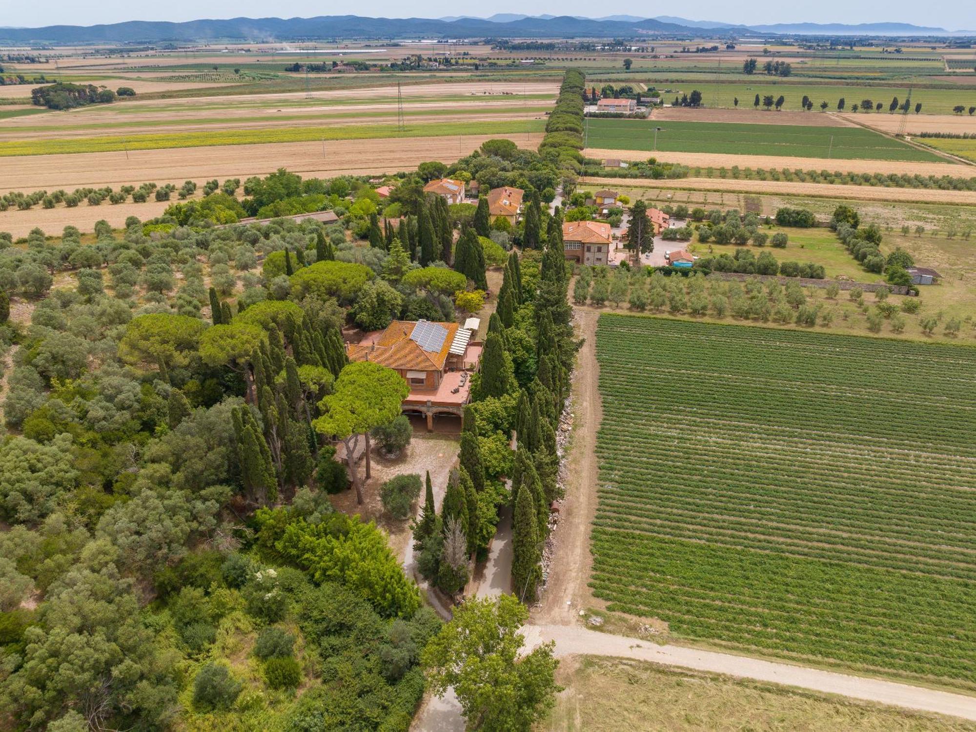 Villa I Tigli Campiglia Marittima Exterior photo